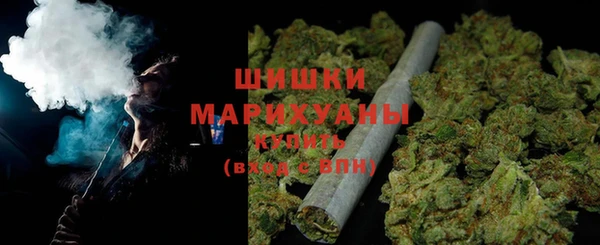 соль ск Пересвет